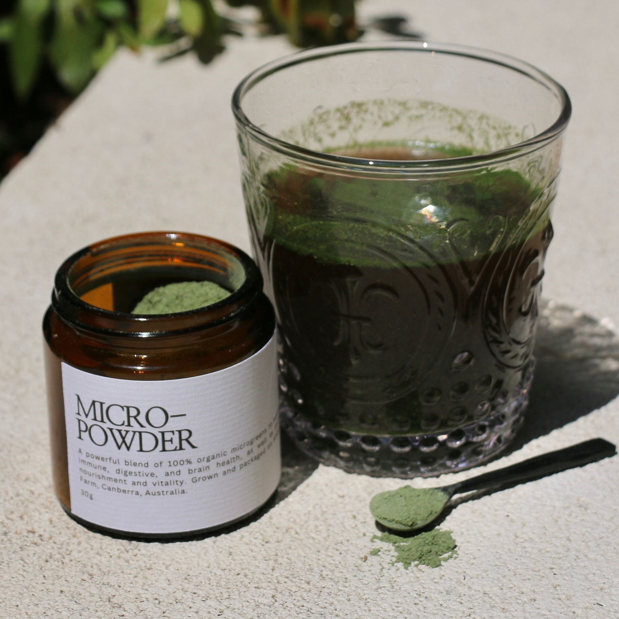 Micro-Powder Mixed with water - Amberly Microgreen