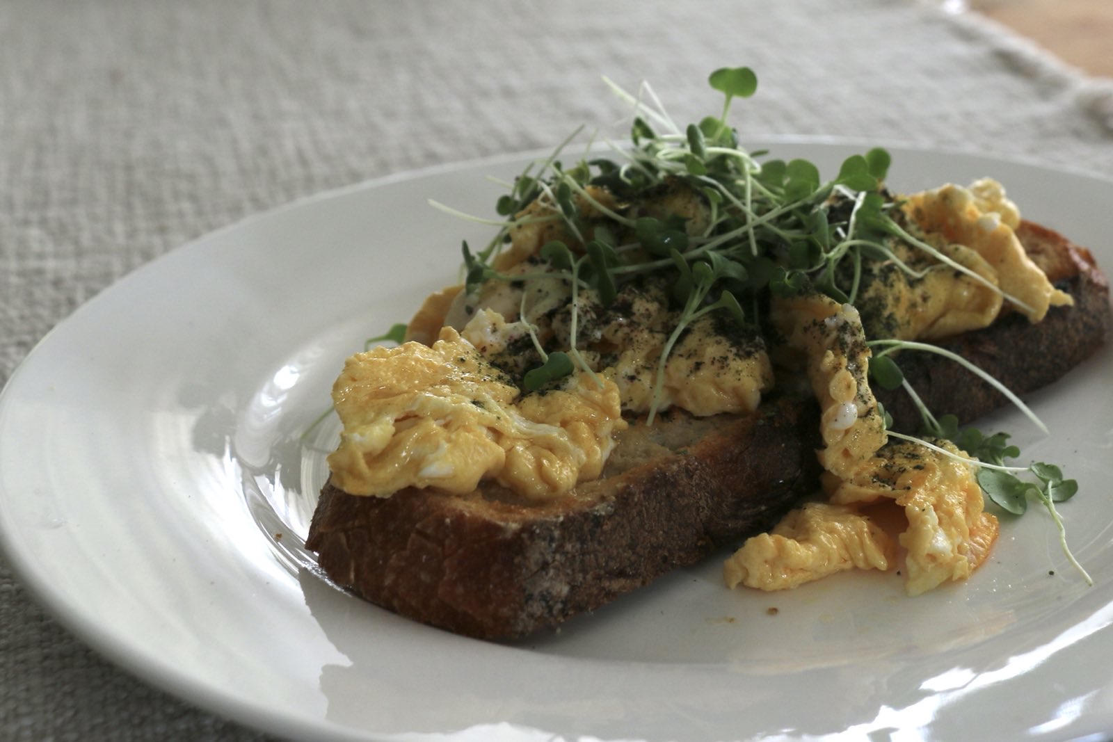 RED AMARANTH Sprinkled on food - Amberly microgreen